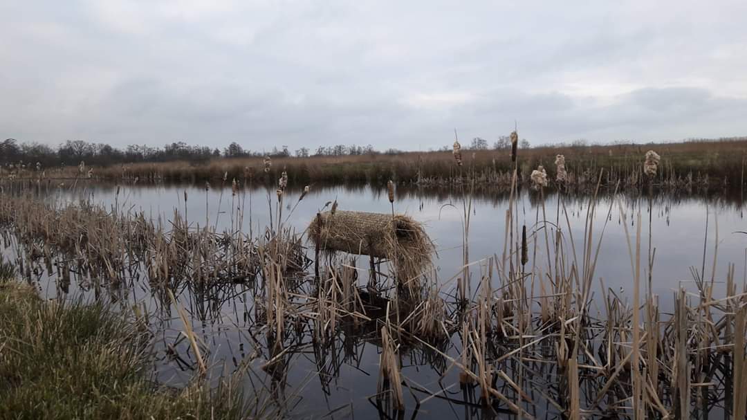 Lees meer over het artikel Weerbericht 31-01-2020