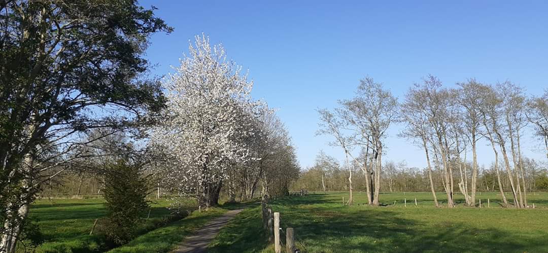 Je bekijkt nu weerbericht 30-04-20