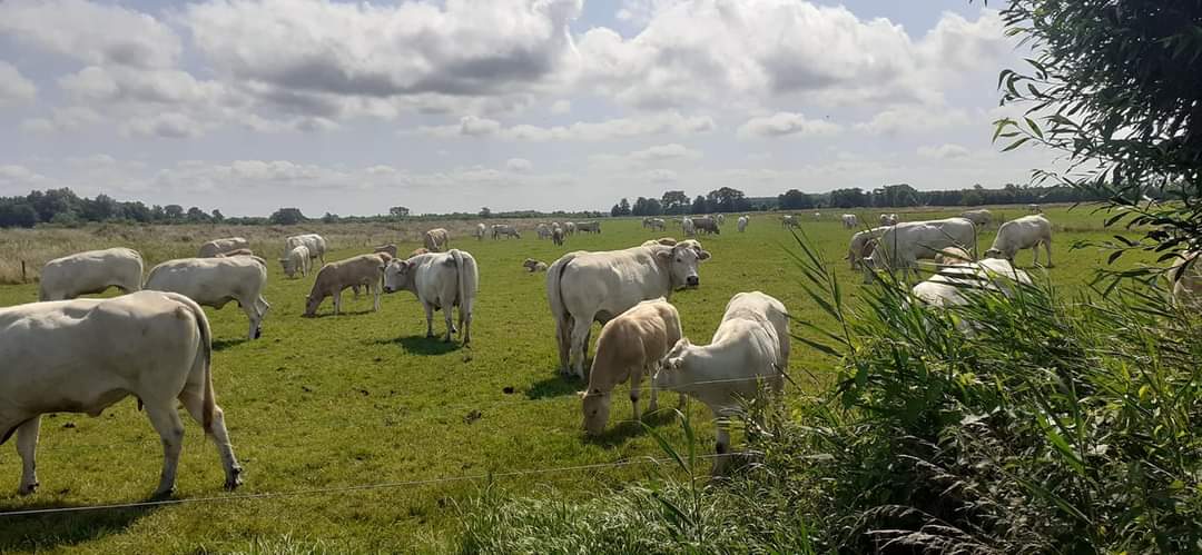 Je bekijkt nu Weerbericht 19-07-2021